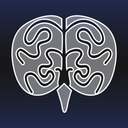 Build-A-Brain Explorer