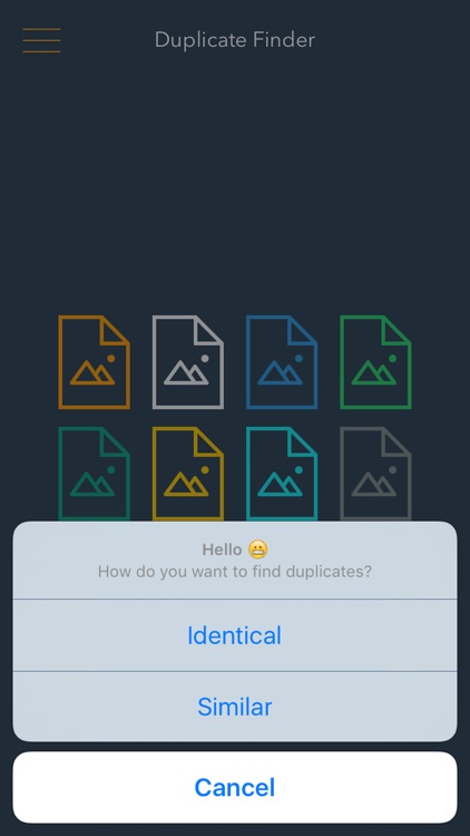 Duplicate Finder