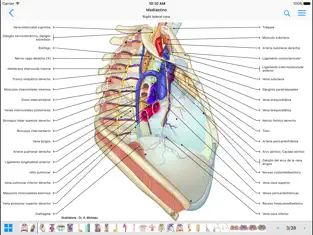 Captura de Pantalla 1 IMAIOS e-Anatomy iphone