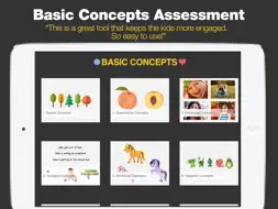 Basic Concepts Assessment screenshot 6