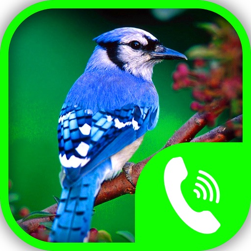 Bird Calls – Animal Sounds & Ringtones Collection icon