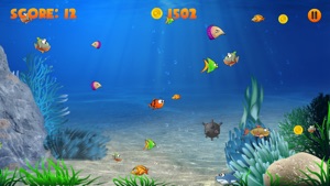 Hungry Nemo screenshot #5 for iPhone