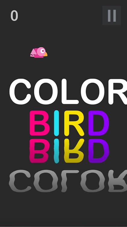 Color Bird World screenshot-3