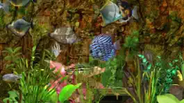 Game screenshot Fish Farm apk