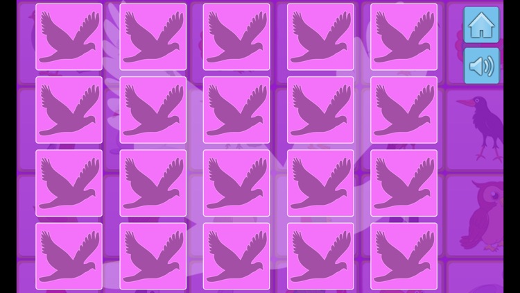 Same Card Elimination