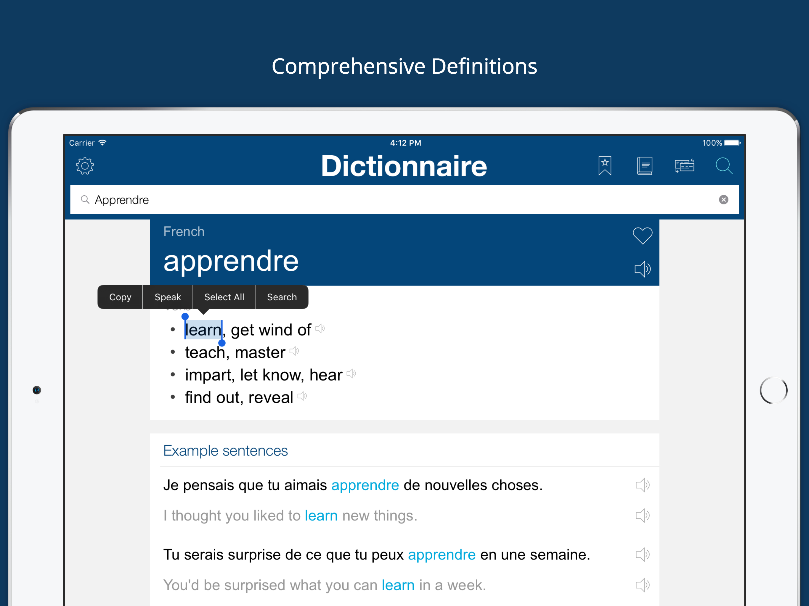 French English Dictionary Pro