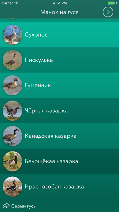 Охотничий манок на гуся Screenshot