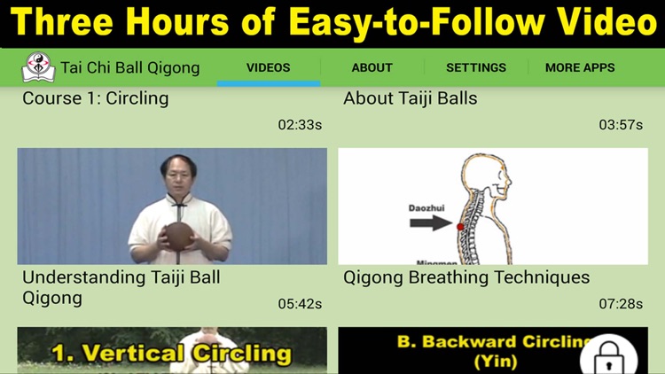 Tai Chi Ball Qigong (Dr. Yang, Jwing-Ming) YMAA