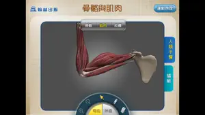 3D骨骼與肌肉 screenshot #2 for iPhone