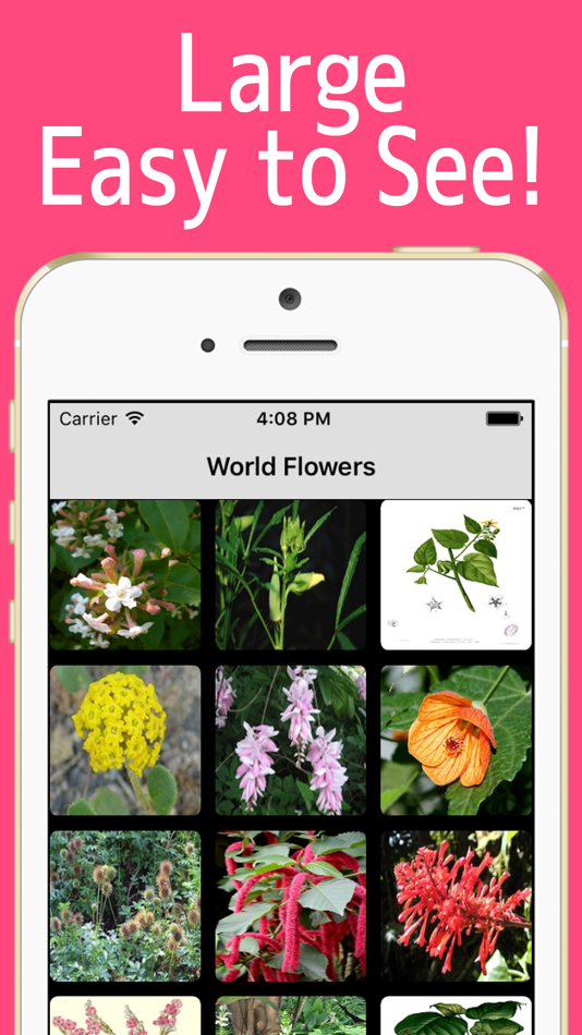 World Flowers! - 1.0.0 - (iOS)