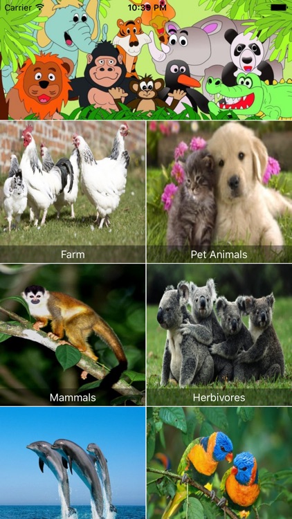 Animal Sounds Free