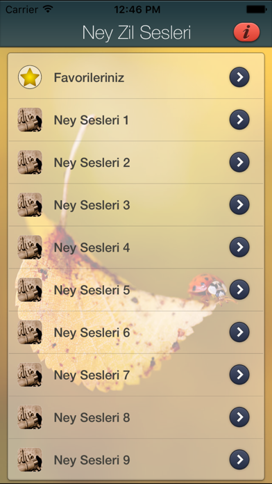 Screenshot #1 pour Ney Zil Sesleri