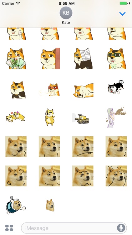 Crazy Doge