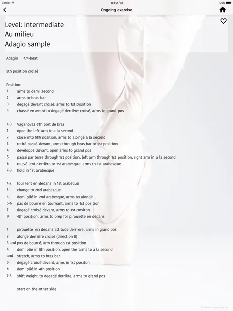 Ballet Teacher Companion