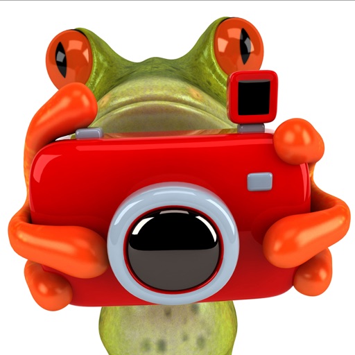 Photo Frogg icon