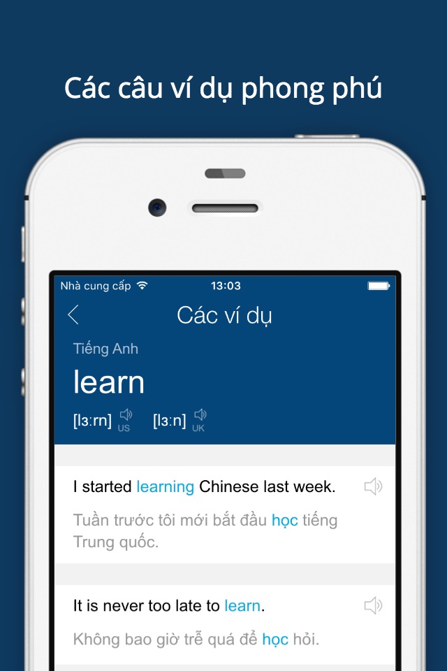 Vietnamese English Dictionary+ screenshot 4