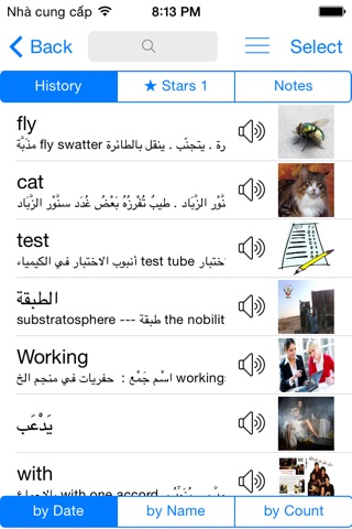 Arabic English Dictionary Pro & Offline Translator screenshot 3