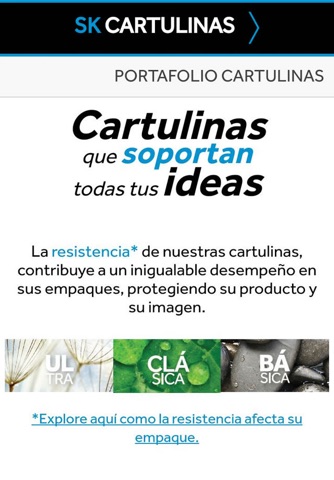 SK Cartulinas screenshot 4