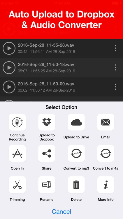 Voice Recorder - HD Audio Recording & Playback