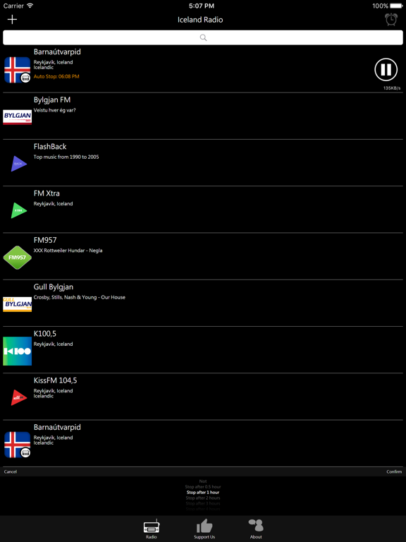 Screenshot #6 pour Icelandic Radio