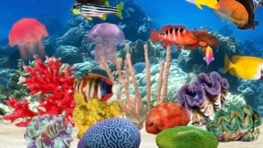 Fish Farm screenshot