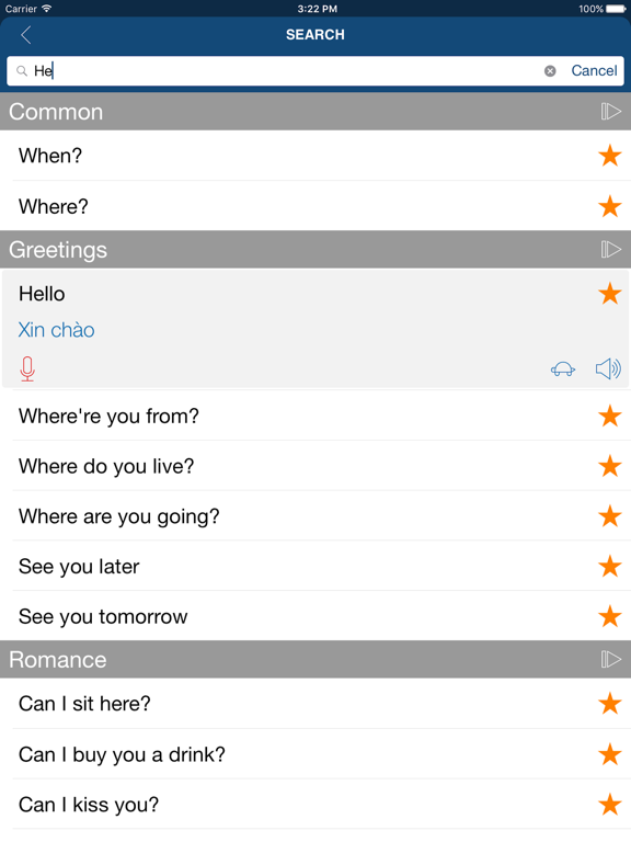 Learn Vietnamese Phrases iPad screenshot 4 - Education app