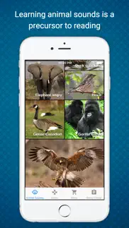 animal sounds - learn & play in a fun way iphone screenshot 2