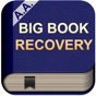 AA Big Book of Alcoholics Anonymous app download