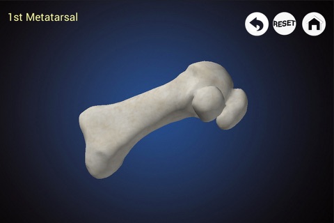 Podiatry 3D (Free Version) screenshot 2