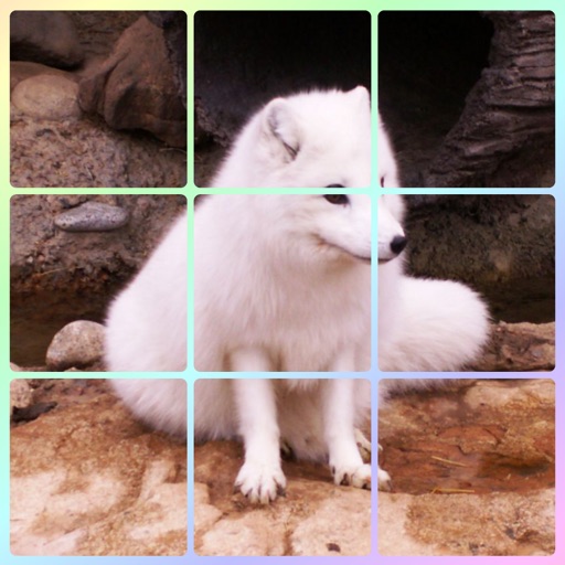 Live Animals - Sliding Square Puzzle iOS App