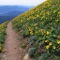 Download Trailguru and capture your next run, ride, walk, hike, biking trip, or any outdoor activity using your iPhone 3G’s integrated GPS