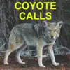 Coyote Calls for Predator Hunting Coyote