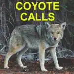 Coyote Calls for Predator Hunting Coyote App Support