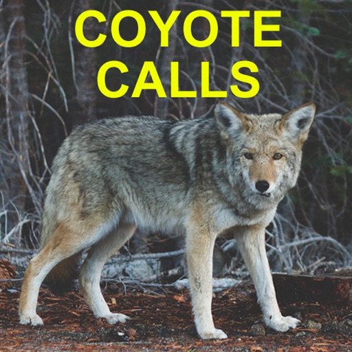 Coyote Calls for Predator Hunting Coyote icon