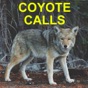 Coyote Calls for Predator Hunting Coyote app download
