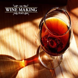 The Wine Making Place