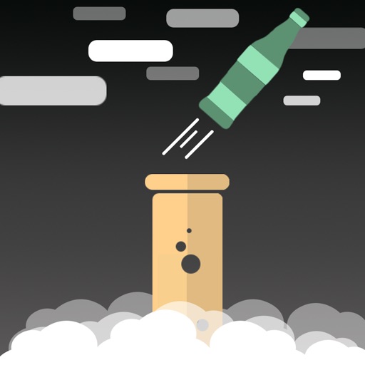 Flip Bottle Spin Challenge icon