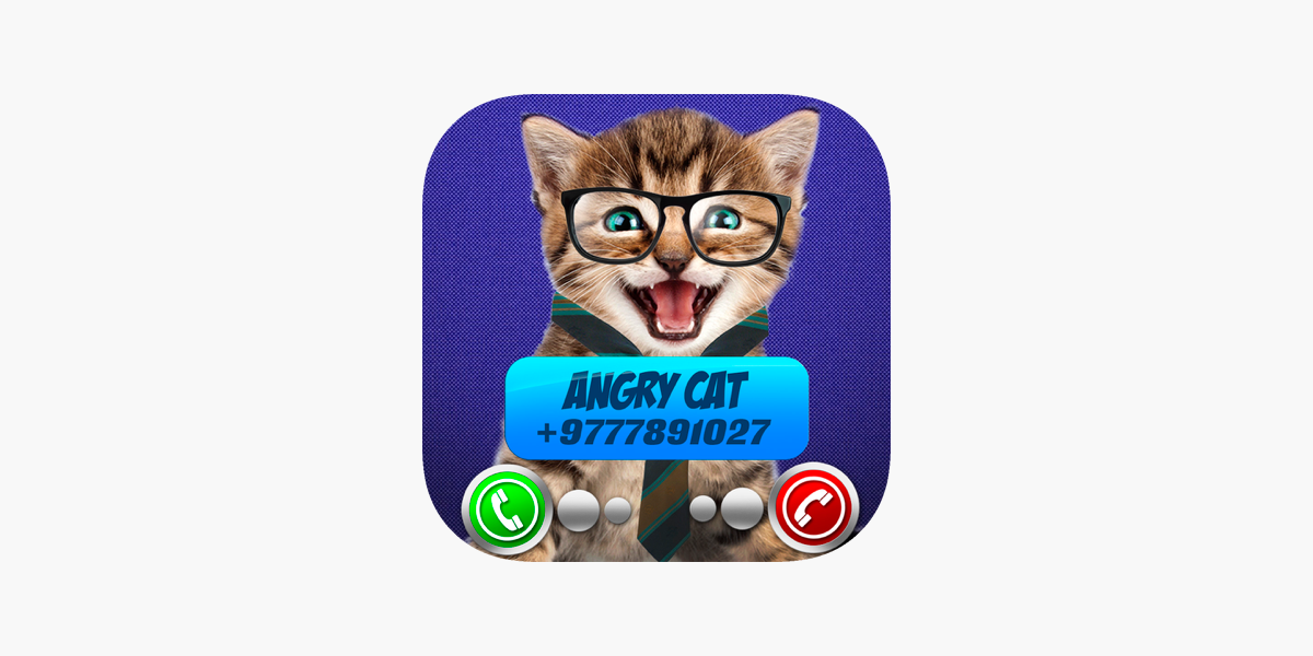 Angry Cat Prank Meme Button for Android - Free App Download