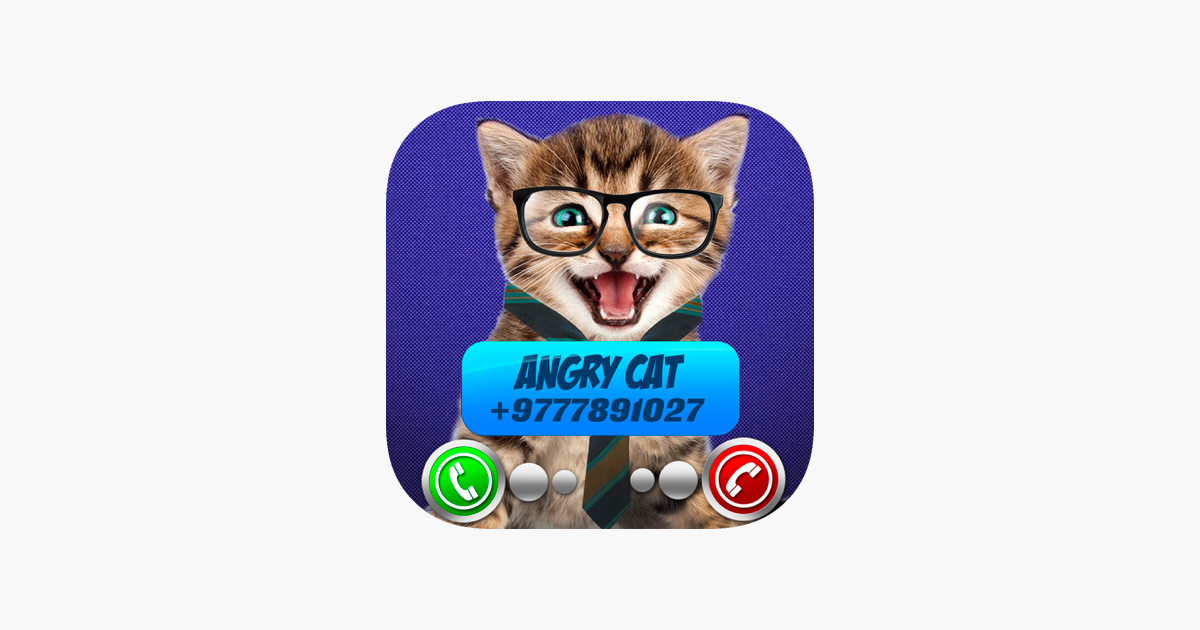 ‎Fake Call Video Cat Joke dans l’App Store