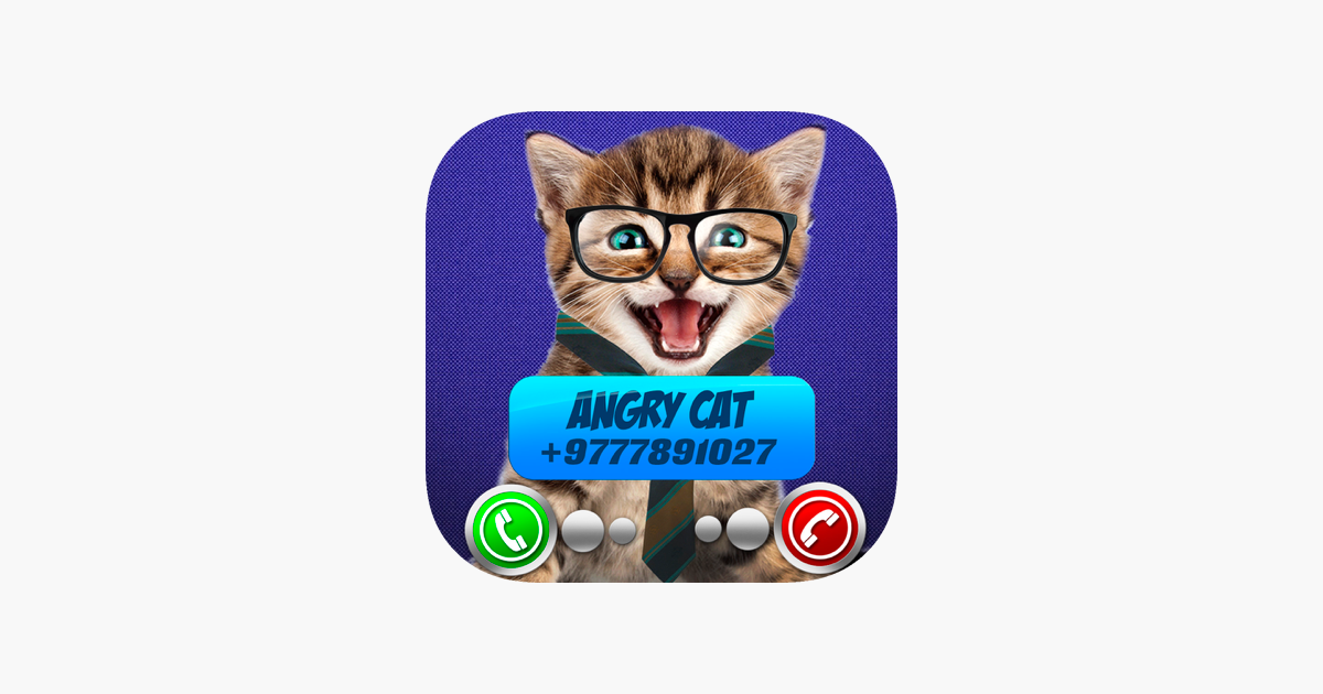 Angry Cat Prank Meme Button – Apps on Google Play