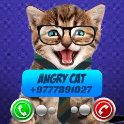 Fake Call Video Cat Joke app icon