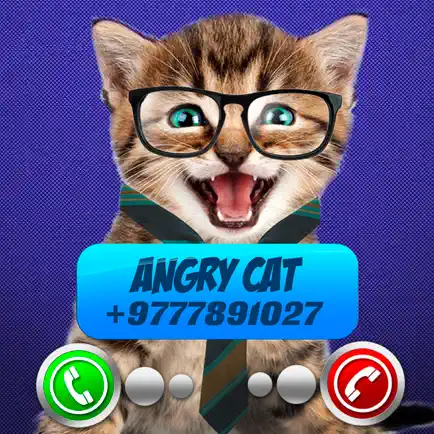 Fake Call Video Cat Joke Cheats