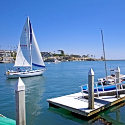 Bayshores Real Estate