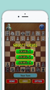 Chess Grandmaster Board Game. Learn and Play Chess multiplayer with Friends screenshot