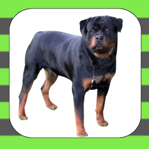 A Pet Rottweiler booth icon