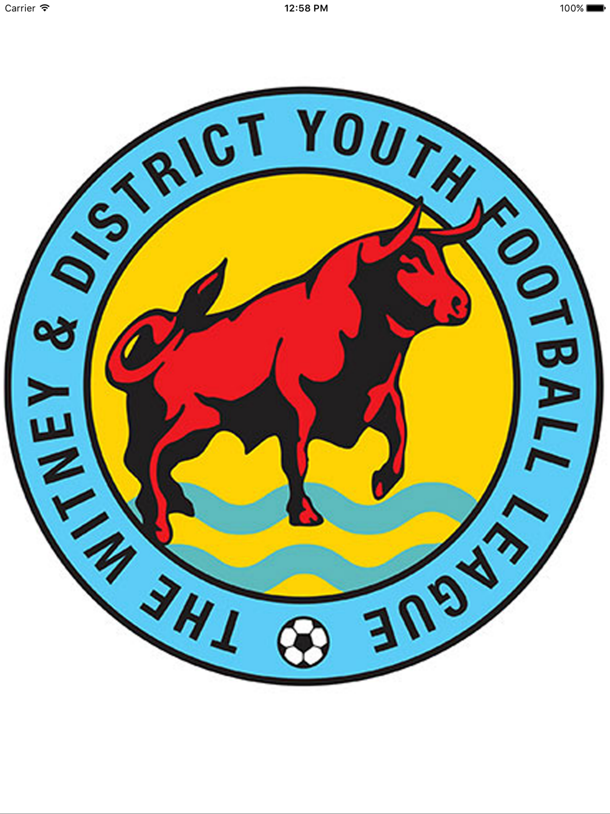 Witney & District Youth FL