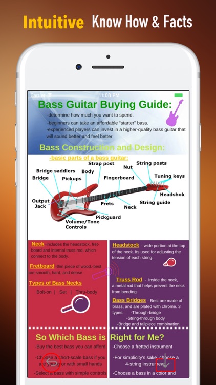 Bass Guitar for Beginners-Learning Tips and Guide