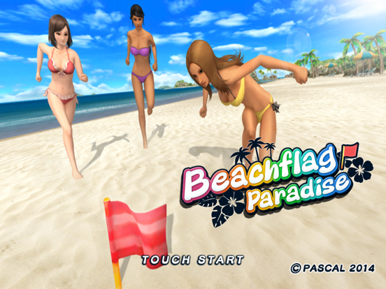 Screenshot #4 pour Beach Flag Paradise