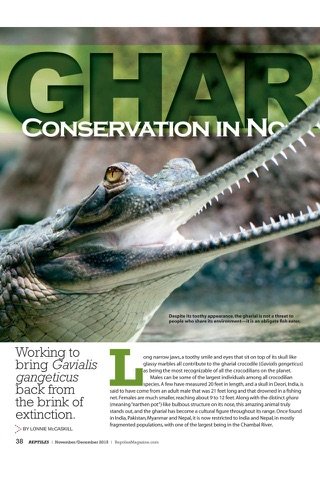 Reptiles magazine screenshot 2