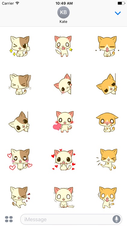 Cute Chihuahua Animated Sticker